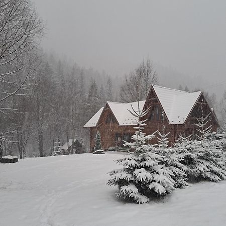 Vila Зарінок Карпат Mykulyčyn Exteriér fotografie