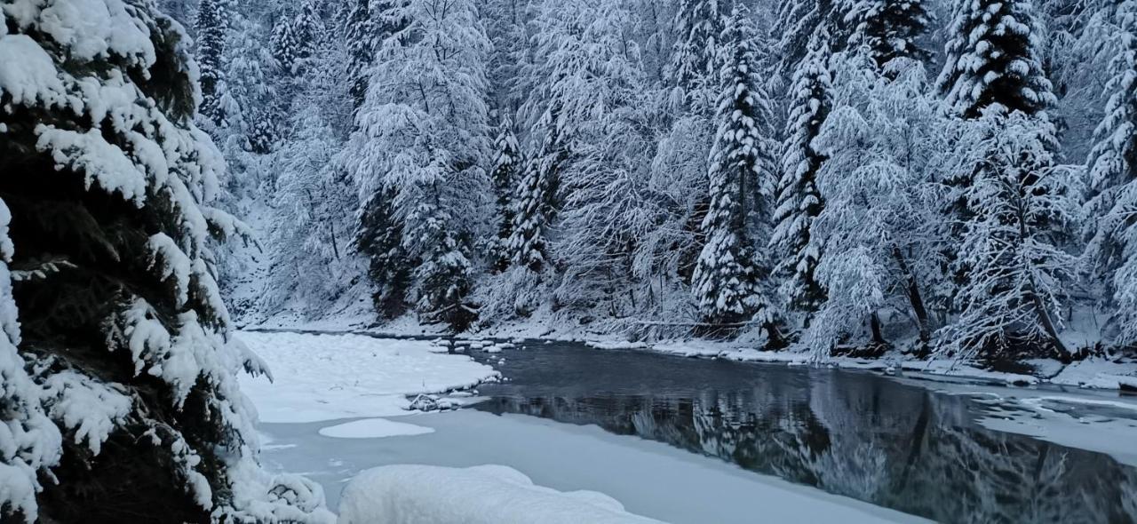 Vila Зарінок Карпат Mykulyčyn Exteriér fotografie