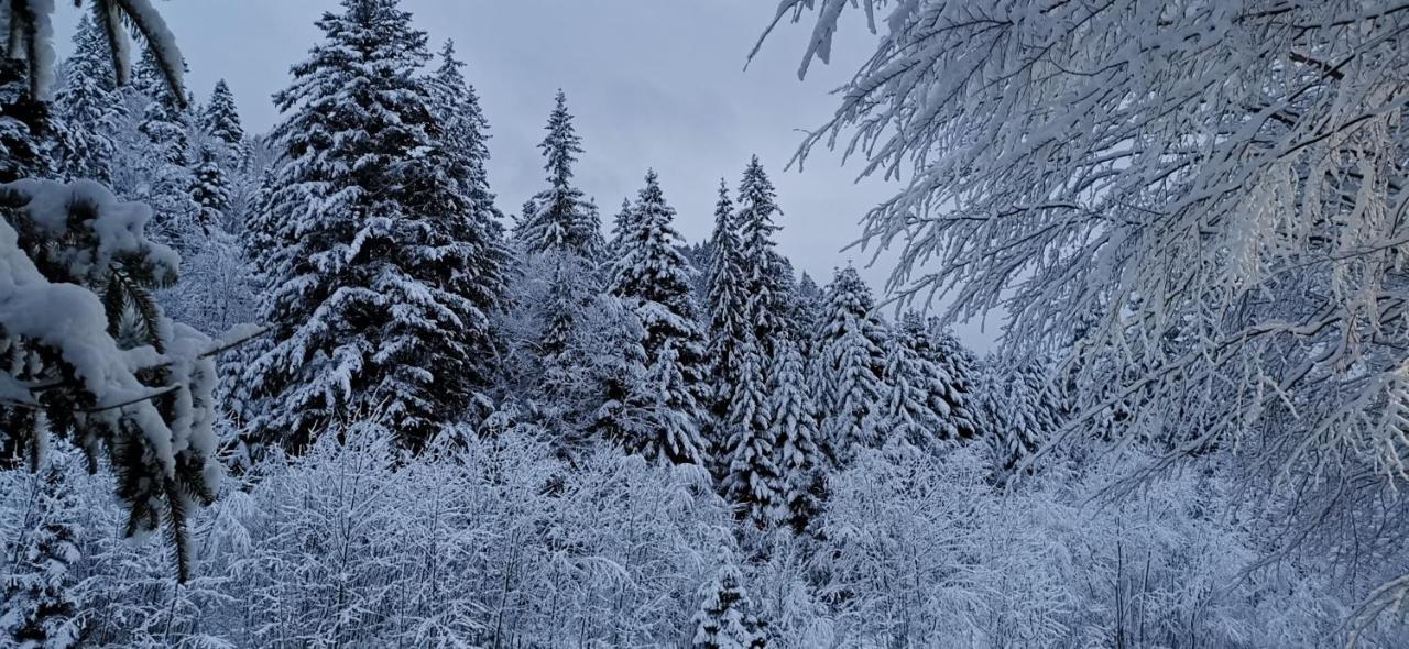 Vila Зарінок Карпат Mykulyčyn Exteriér fotografie
